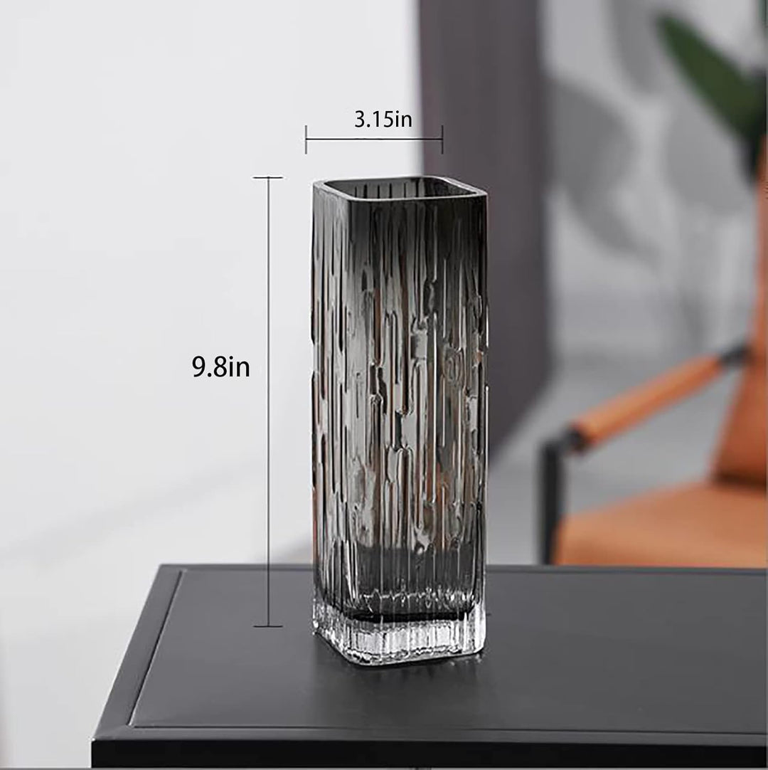 Rxcvkmw Moderne, minimalistische Glasvase, quadratische Vase, Kristallglasvase, Vase, trockene Vase