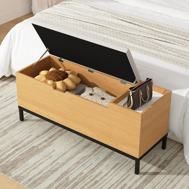 Merax Schuhschrank mit gepolsterter Sitzbank, Schuhbank mit Sitzfläch, mit Stauraum, Klappdeckel und