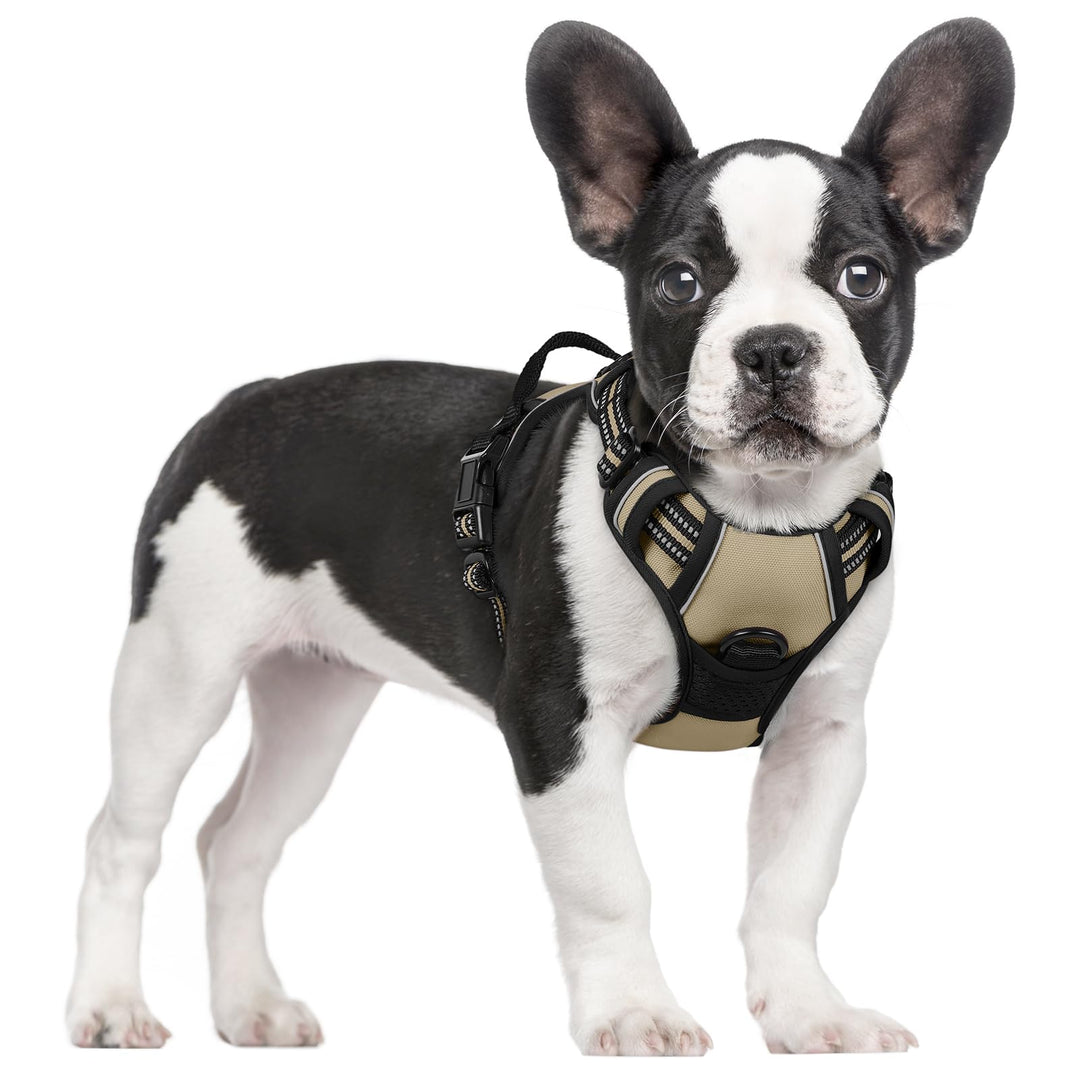 rabbitgoo Hundegeschirr Mittelgrosse Hunde, Anti Zug Geschirr mit Kontrolle, No Pull Verstellbar Hun