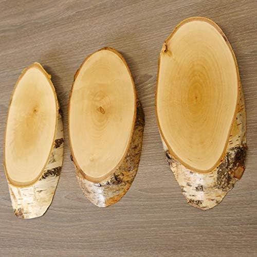 3 Stück Birke Schilder Trophäenschilder REH Rehbock Geweih Baumscheibe Baumschild Natur Holz modern