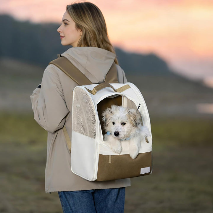 Hunde Rucksack & Katzen Rucksack, 600D Oxforsd Haustier Transporttasche, Atmungsaktive Hundetragetas