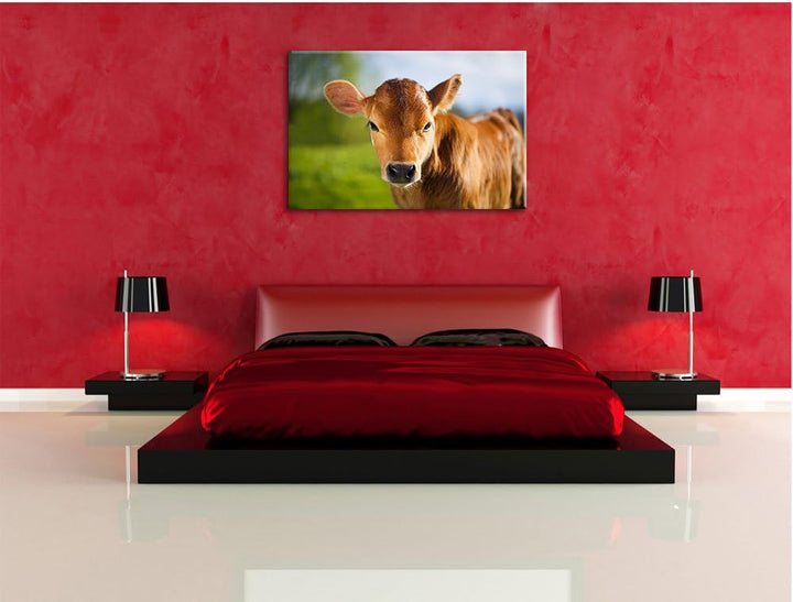 Junge Kuh Kälbchen, Format: 100x70 auf Leinwand, XXL riesige Bilder fertig gerahmt mit Keilrahmen, K