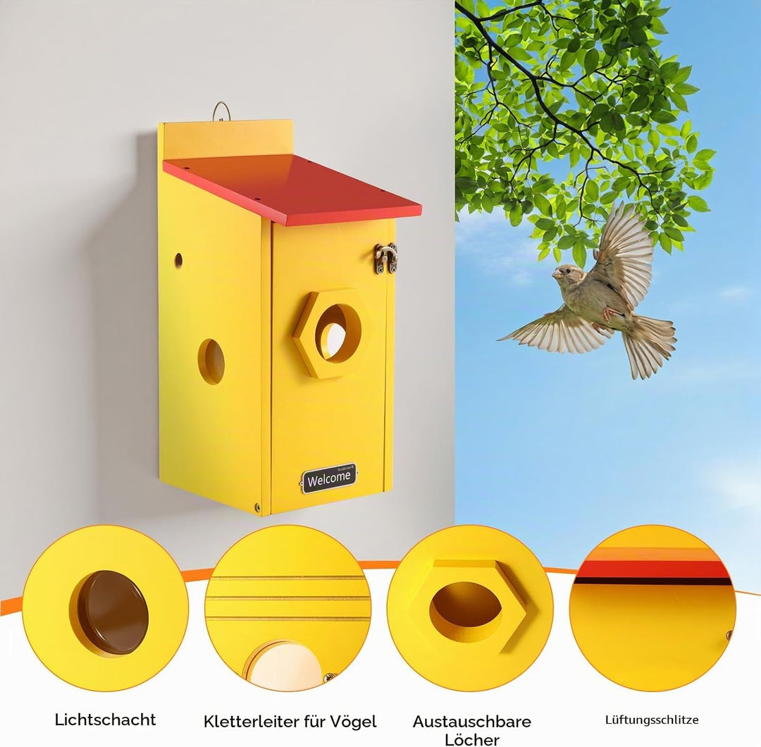 Vogelhaus mit 5MP Kamera Solar WLAN, Bunte Nistkasten zum Aufhängen für Wetterfest, 2,4G WiFi &amp; App
