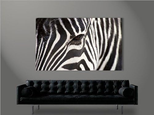 islandburner Bild Bilder auf Leinwand Zebra V2-1p XXL Poster Leinwandbild Wandbild Dekoartikel Wohnz