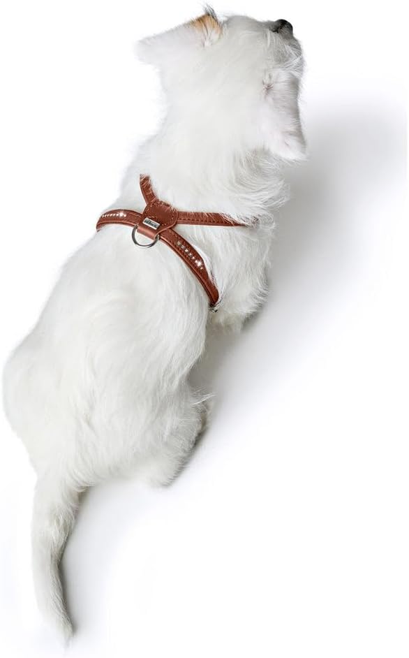 Hunter Hundegeschirr Round &amp; Soft Canadian UP, Farbe: Cognac, weiches, geschmeidiges Leder, rundgenä