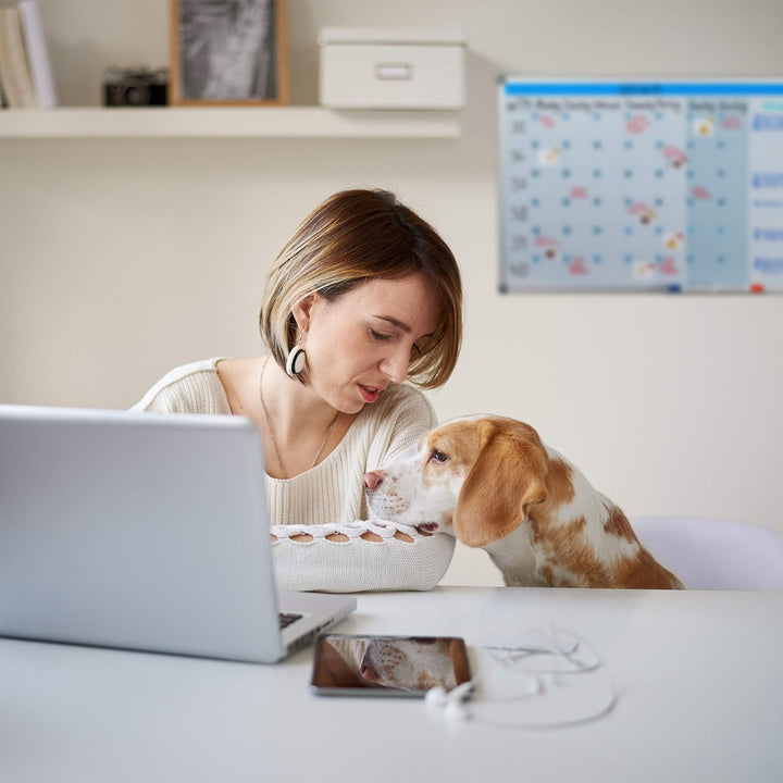 Relaxdays Whiteboard, Jahresplaner, abwischbar, magnetisch, Planungstafel mit Stiftablage, Magnetwan