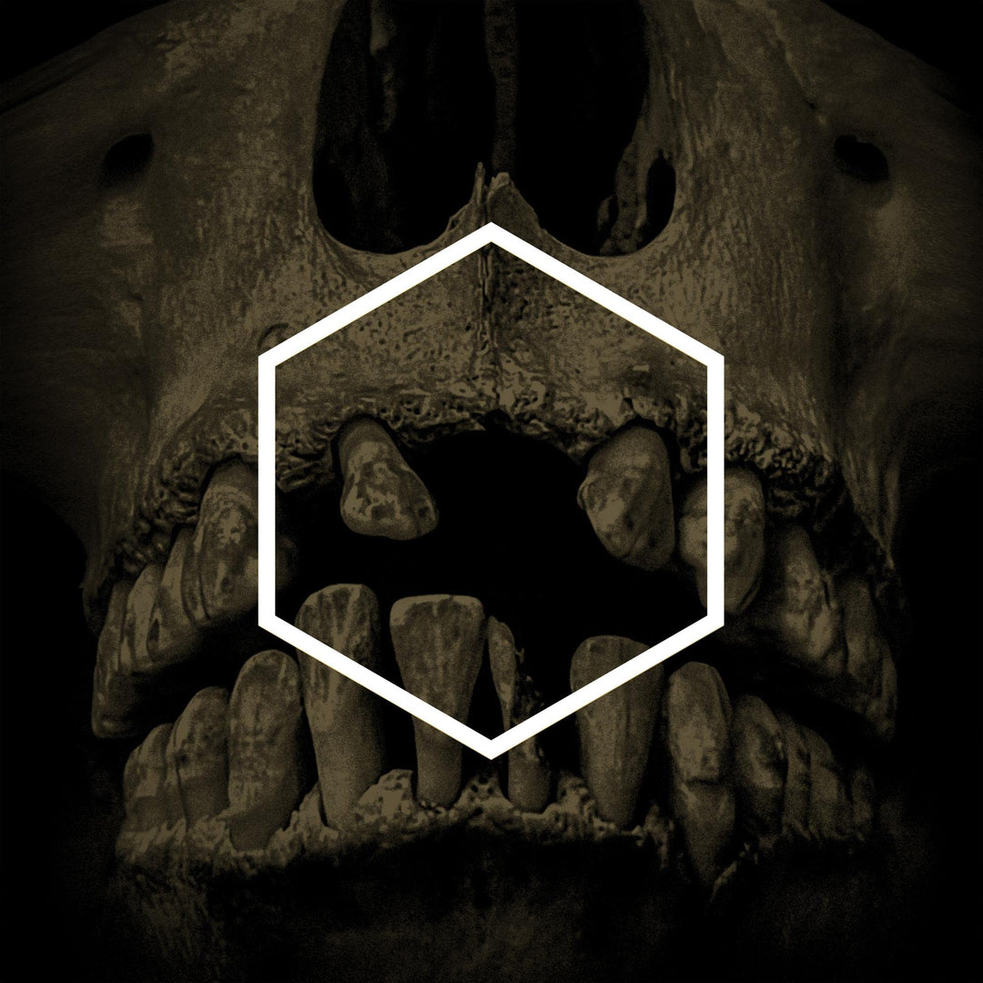 The Others (Lustmord Deconstructed), Vinyl