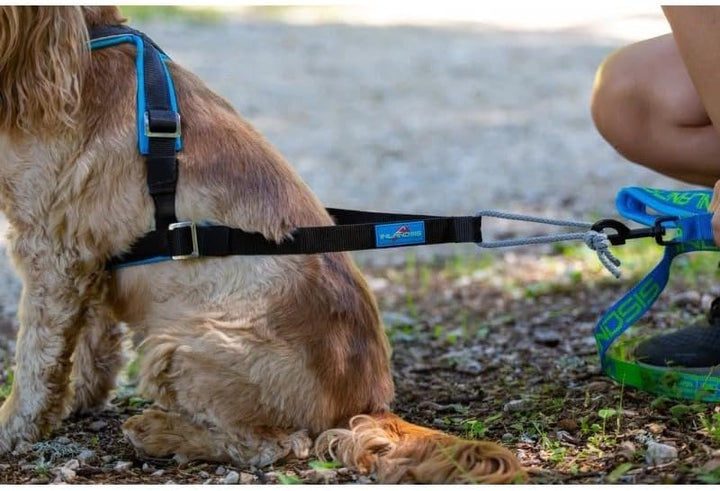 Inlandsis Canicross Geschirr für kleine Hunde, Open-Back XXXS Rot/Schwarz, XXXS Rot/Schwarz