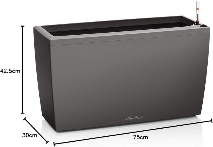 LECHUZA CARARO Premium anthrazit metallic 18803 Anthrazit Metallic Premium, Anthrazit Metallic Premi