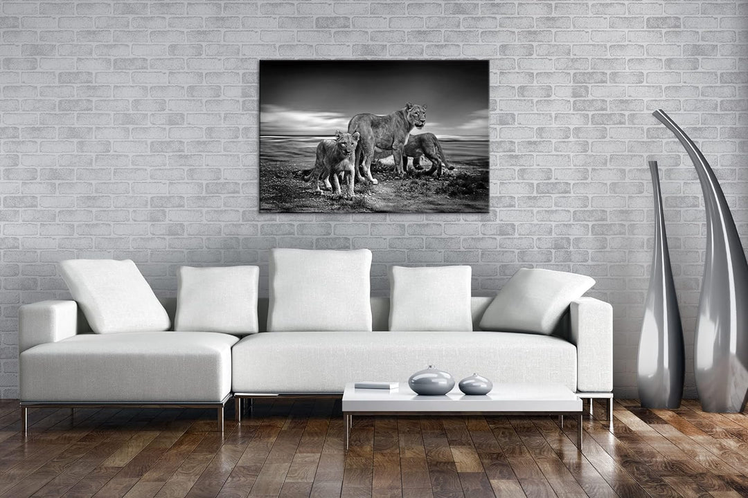 deyoli zauberhafte Löwenfamilie Format: 60x40 Effekt: Schwarz&Weiss als Leinwandbild, Motiv fertig g