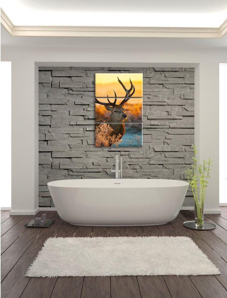 Pixxprint Stolzer Hirsch auf Wiese als Leinwandbild/Grösse: 3 Teilig (120x80) cm/Wandbild/Kunstdruck