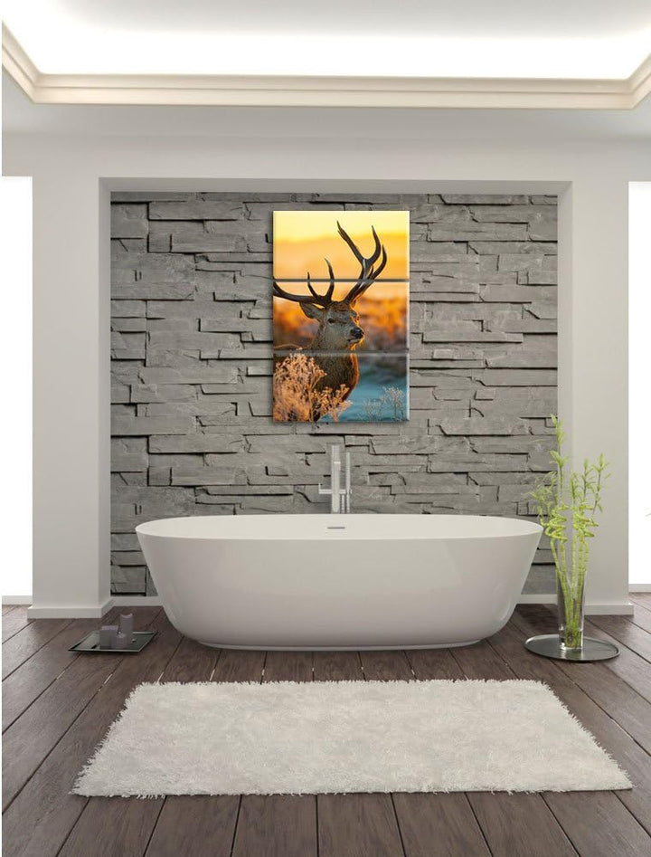 Pixxprint Stolzer Hirsch auf Wiese als Leinwandbild/Grösse: 3 Teilig (120x80) cm/Wandbild/Kunstdruck