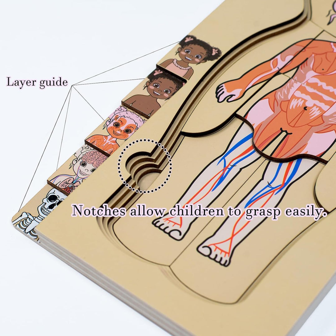Meine Körperteile Puzzle für Kleinkinder Kinder Mädchen Jungen Montessori Holz Anatomie Puzzle 3-5 J