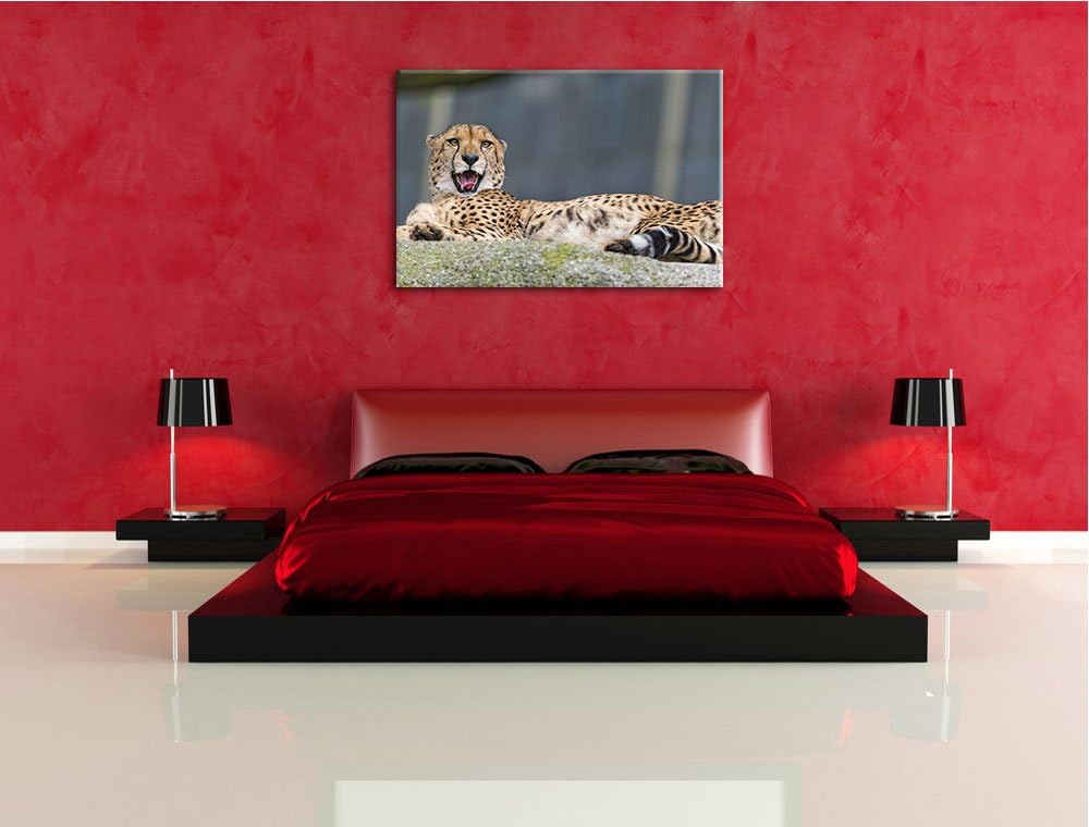 Pixxprint schlafender Gepard auf Leinwand, XXL riesige Bilder fertig gerahmt mit Keilrahmen, Kunstdr