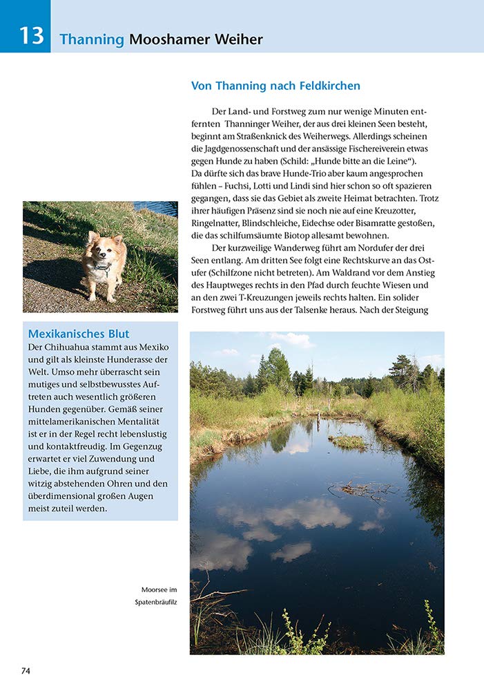 Die schönsten Wanderungen mit Hunden: Oberbayern Aktualisierte Neuauflage! Jetzt 36 Touren, Taschenb