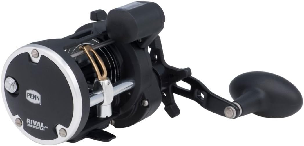 PENN Rival Level Wind Multirolle für Boote und Kajaks – Hochleistungs-Salzwasserrolle für Dorsch, Ba