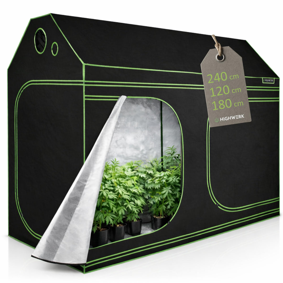Zelsius Growzelt MyHomeGrow Grow Tent für Dachschräge Dachboden | Indoor Growbox | schwarz grün | Gr