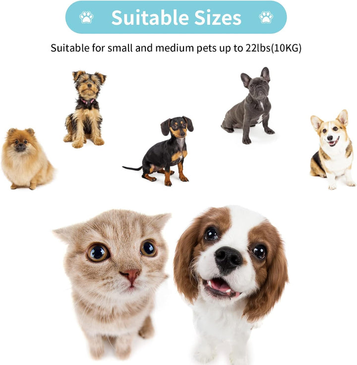 Einziehbare Hundeleine für kleine und mittelgrosse Hunde bis zu 10 kg mit 3 m starkem Nylonband, fre
