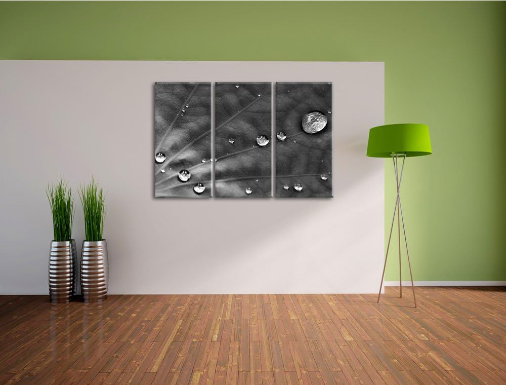 Pixxprint Monocrome, kleine Wassertropfen auf grünem Blatt 3-Teiler Leinwandbild 120x80 Bild auf Lei