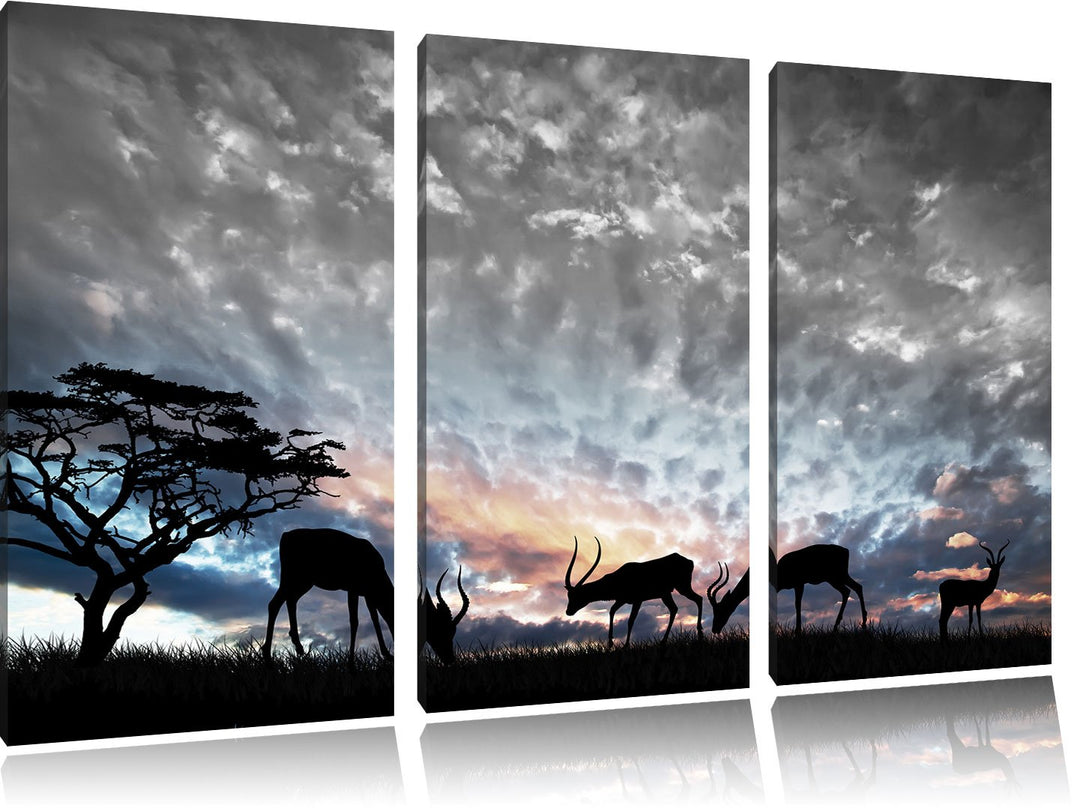 Pixxprint Tiere in der freien Natur am Abend B&W Detail 3-Teiler Leinwandbild 120x80 Bild auf Leinwa
