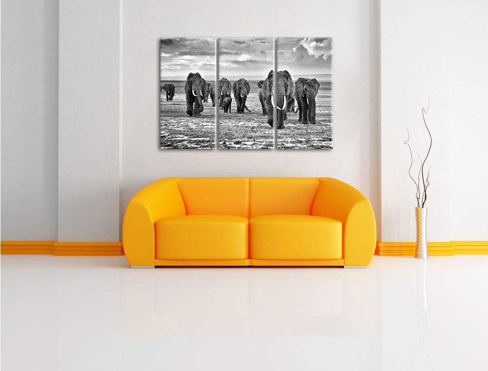 Pixxprint Elefanten Familie in der Savanne 3-Teiler Leinwandbild 120x80 Bild auf Leinwand