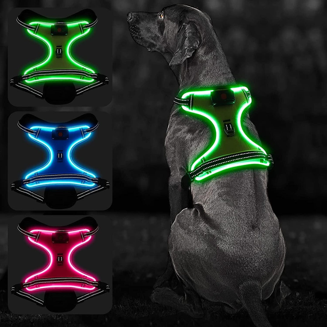 Bpawser Light Up Hundegeschirr LED Hundegeschirr No-Pull mit Griff Wiederaufladbare beleuchtete Hund
