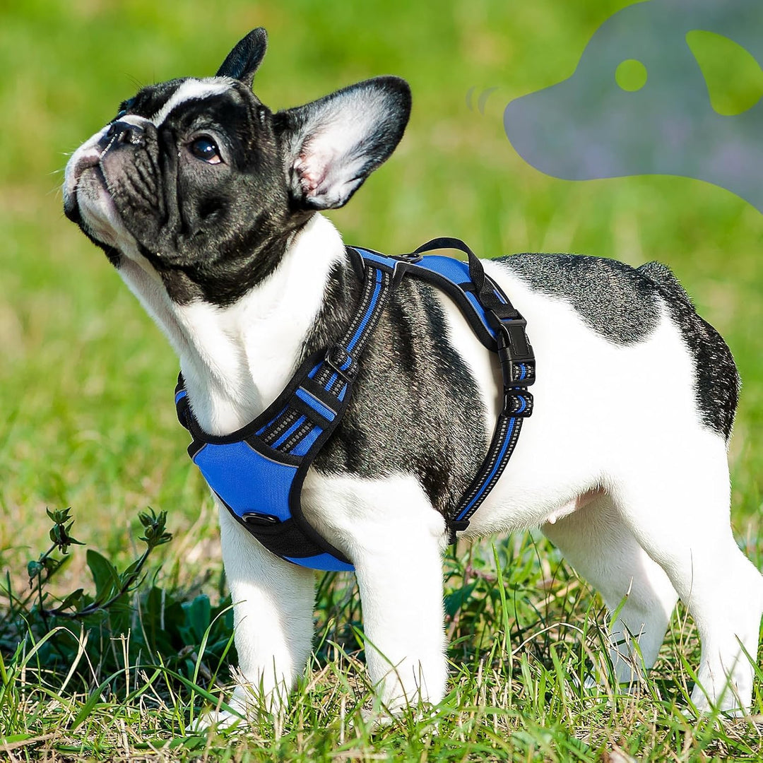 Eagloo Hundegeschirr Kleine Hunde, Anti Zug Hundegeschirr mit Reflexstreifen und Kontrolle, Verstell
