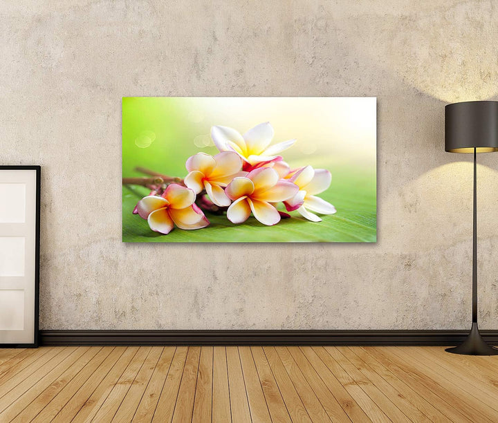 islandburner Bild auf Leinwand Frangipani Tropische Spa Blume Bilder Wandbilder Poster Leinwand 100x
