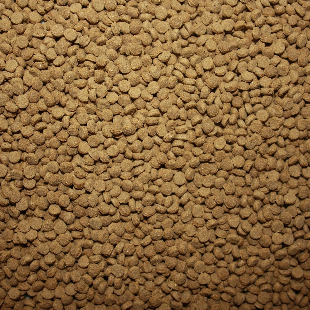 Saito Professional Koischwimmfutter, Premium Koifutter für höchste Ansprüche, für Mega Wachstum, sch