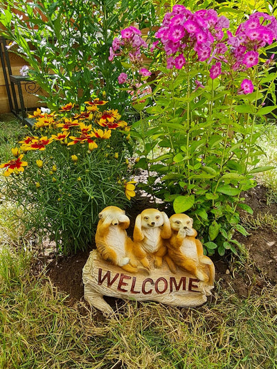 Kremers Schatzkiste Erdmännchen 3 Weisen als Welcome Schild Figur Gartenfigur 24 cm Meercat Tierfigu