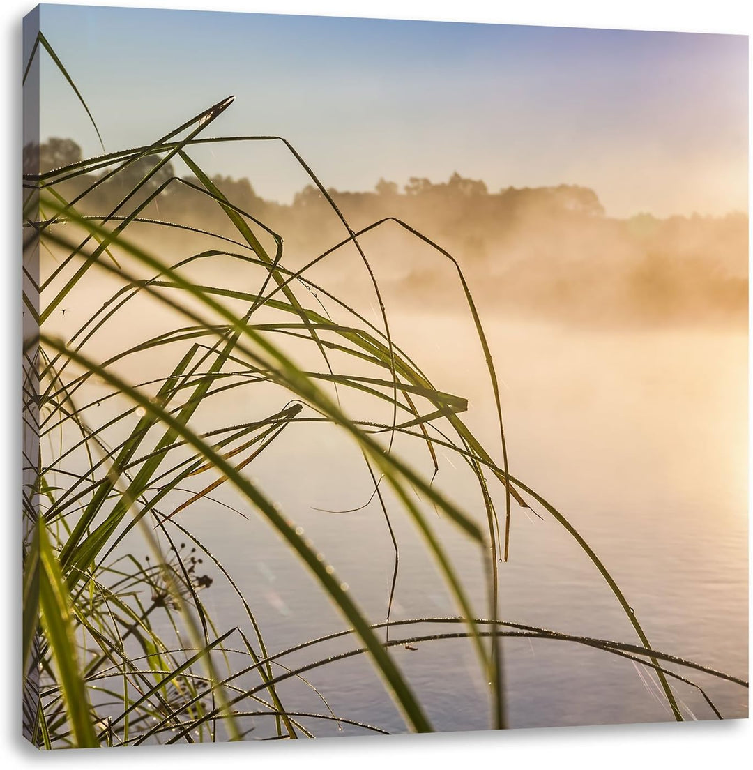 Pixxprint Schilf am See, Format: 70x70 auf Leinwand, XXL riesige Bilder fertig gerahmt mit Keilrahme