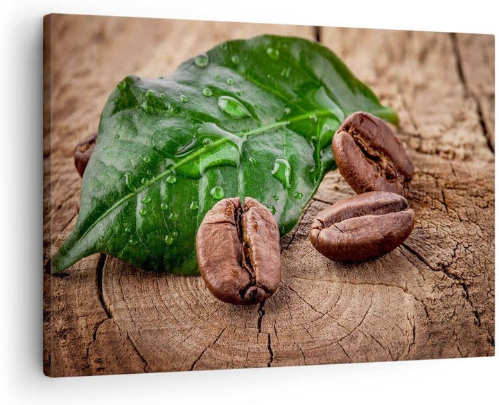 Bilder auf Leinwand Aroma Kaffee Pflanze Samen Leinwandbild 70x50cm Wandbilder Dekoration Wohnzimmer