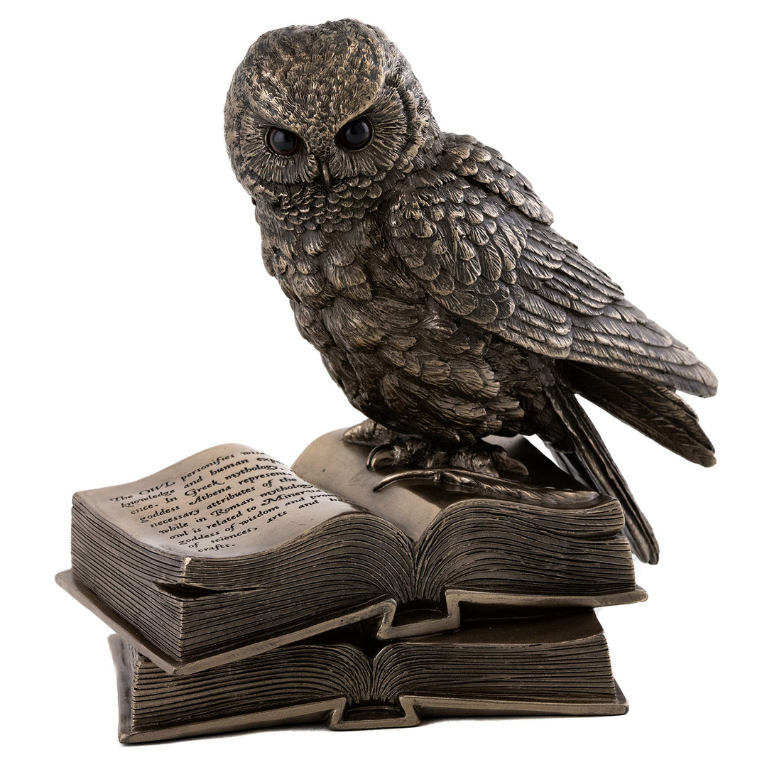 * Bronze * Barn Eule auf Buch Figur Statue Figur gross