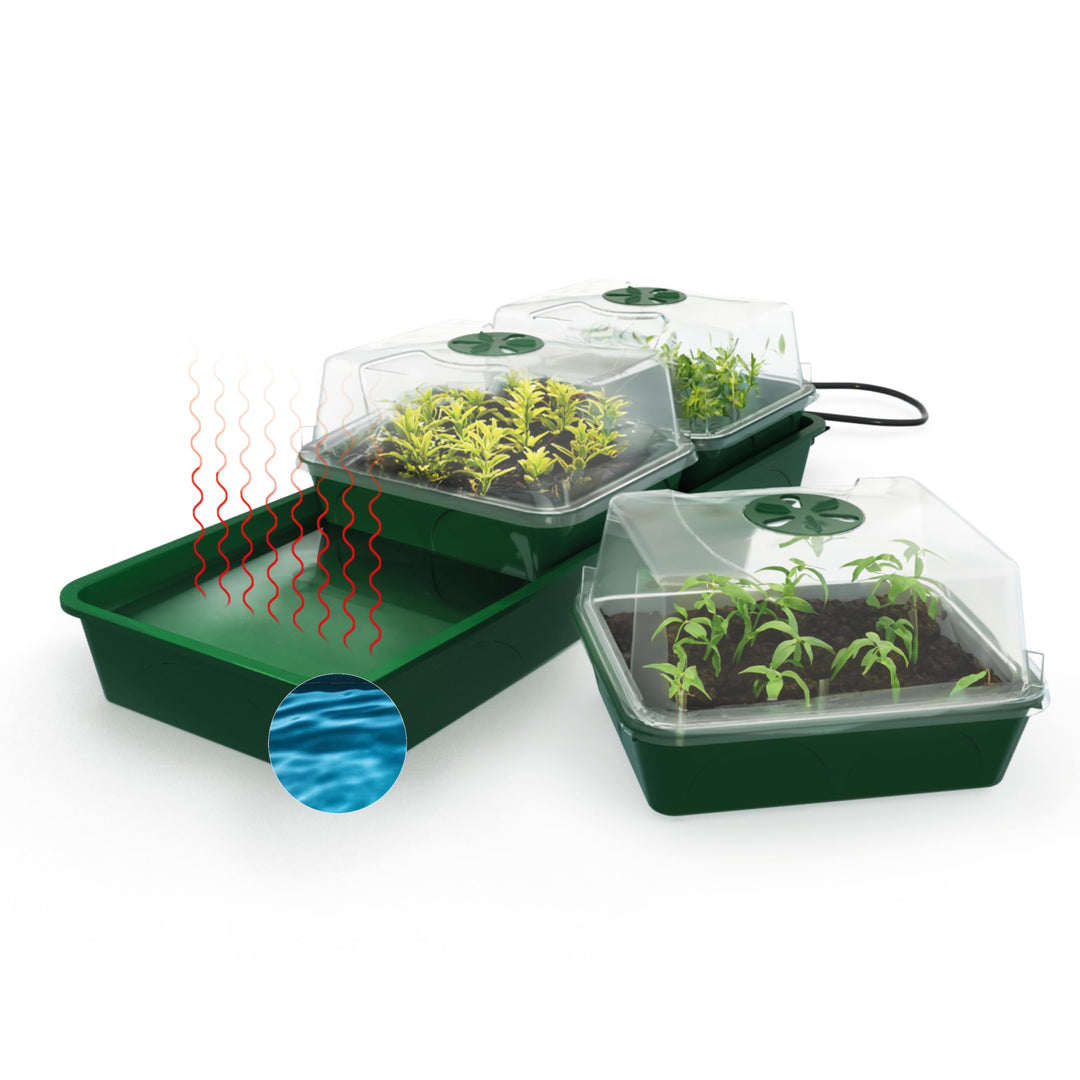 Bio Green HOL 3 Green Hollandia Anzuchtstation mit Kapillarmatte und Wassertank 1,4l , L : 54cm, B: