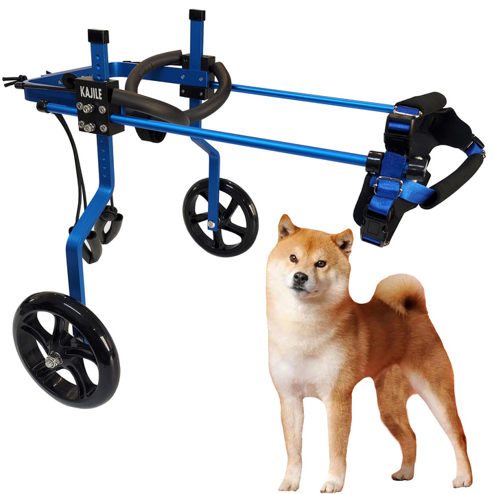 Verstellbarer 2-Rad-Hunderollstuhl, L-3 Grösse für behinderte Hund Hinterbeine Rehabilitation, geeig