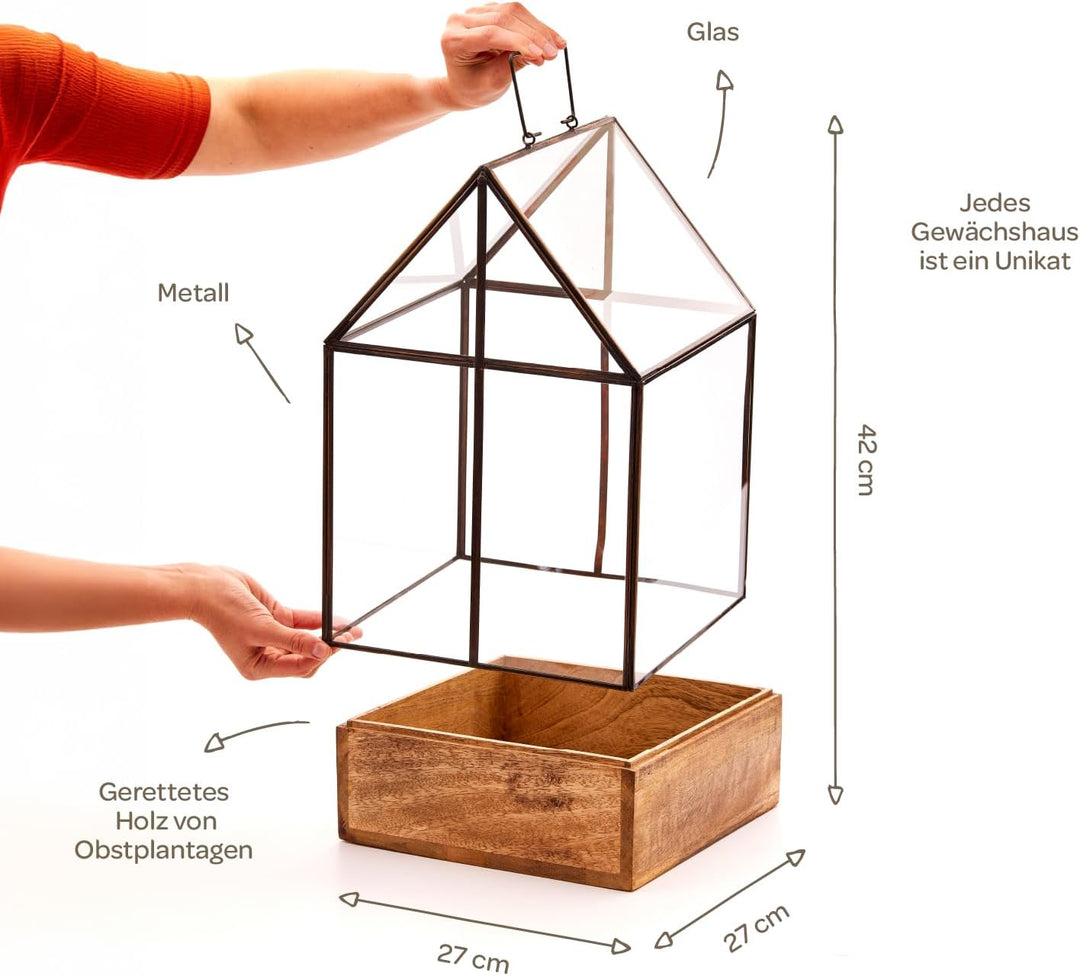 Modernes Gewächshaus als Deko, für Anzucht &amp; für Kräuter | Aus Glas, recyceltem Holz und Metall | Zi
