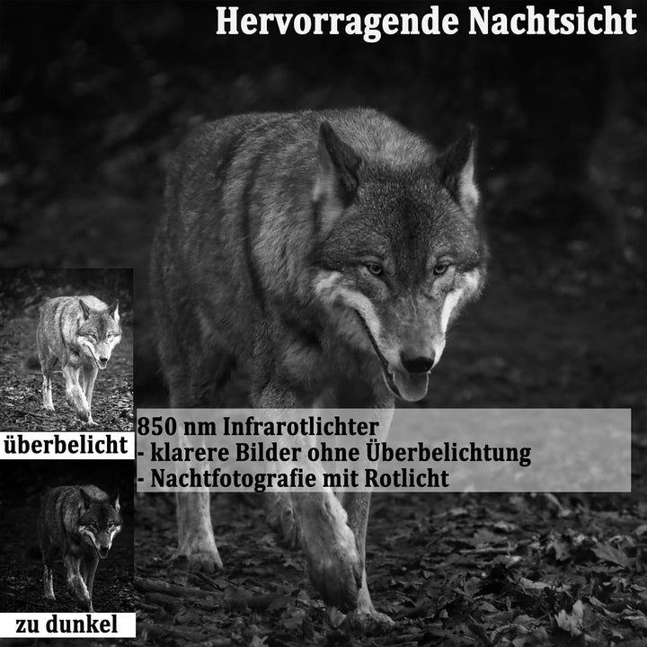 FunKind Wildkamera 4K 50MP, Wildtierkamera mit Nachtsicht Bewegungsmelder Weitwinkel 120°, 850nm IR