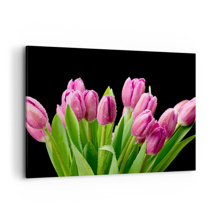 Bilder auf Leinwand 100x70cm Leinwandbild Tulpen Blumenstrauss Tau Tropfen Gross Wanddeko Bild Schla