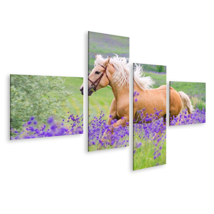 islandburner Bild auf Leinwand Palomino Pferd Kinderzimmer Hobby Reiten Bilder Wandbilder Poster Lei