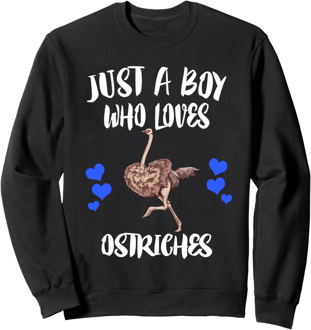 Just A Boy Who Loves Ostriches Birds Sweatshirt