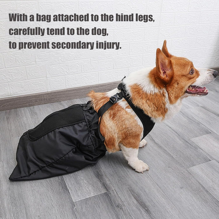 Hund-Tow-Bag – Schonender Tragebeutel für gelähmte/hinterlähmte Hunde, Nylon, atmungsaktiv, inkl. Gu