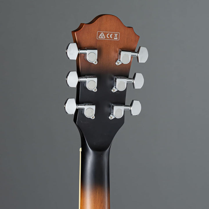 Ibanez AS53-TF Guitars