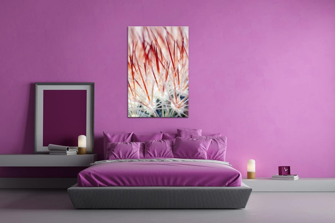 deyoli Nadeln eines Kaktus Format: 80x60 als Leinwand, Motiv fertig gerahmt auf Echtholzrahmen, Hoch