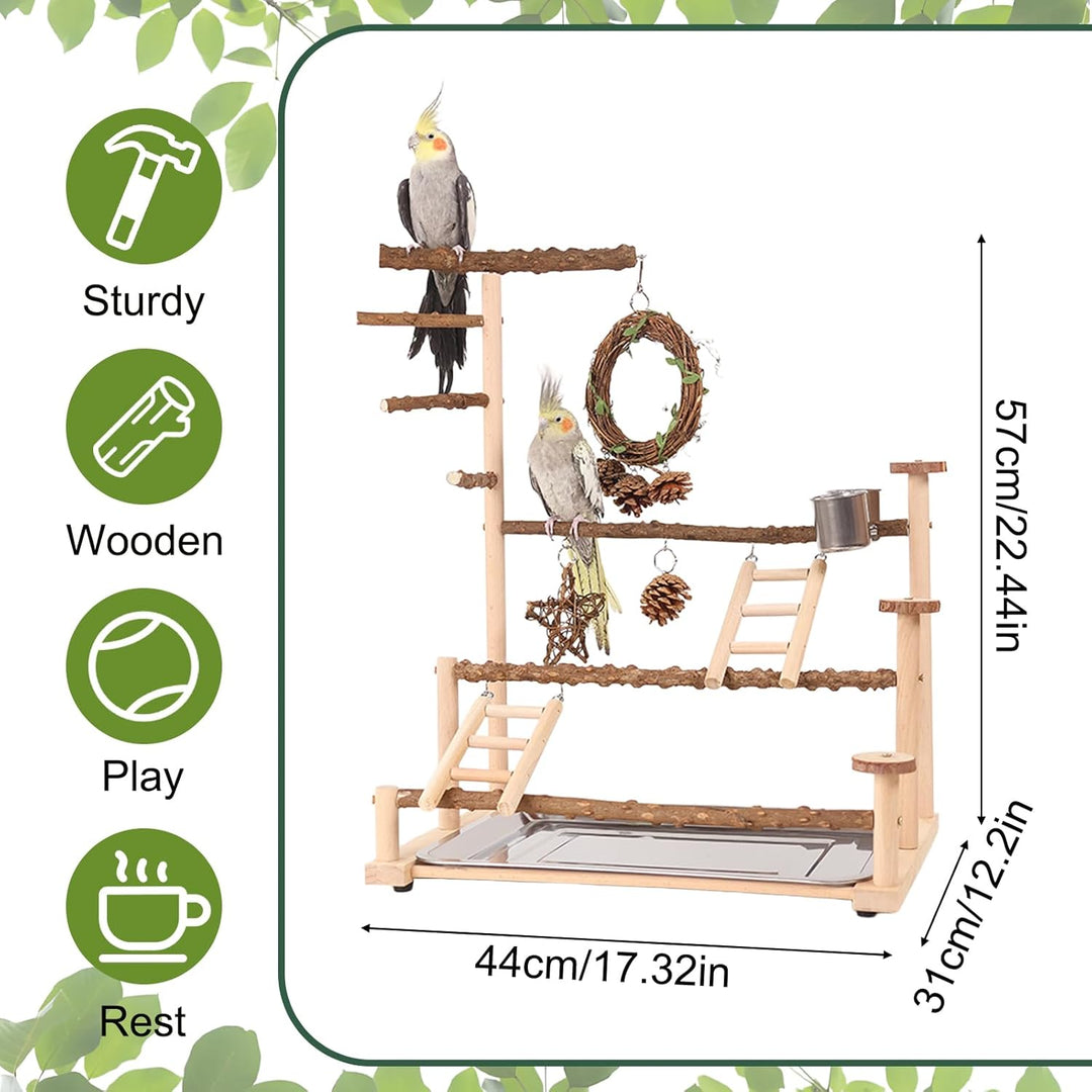 Vogelspielplatz Wellensittich Spielplatz Spielzeug, Grosser vogel Spielplatz mit Schaukel Sitzstange