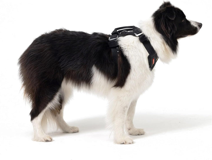 EzyDog Sicherheitsgeschirr Hund - Drive Crash-Getestet Hundegeschirr - Bestes Hundegeschirr fürs Aut