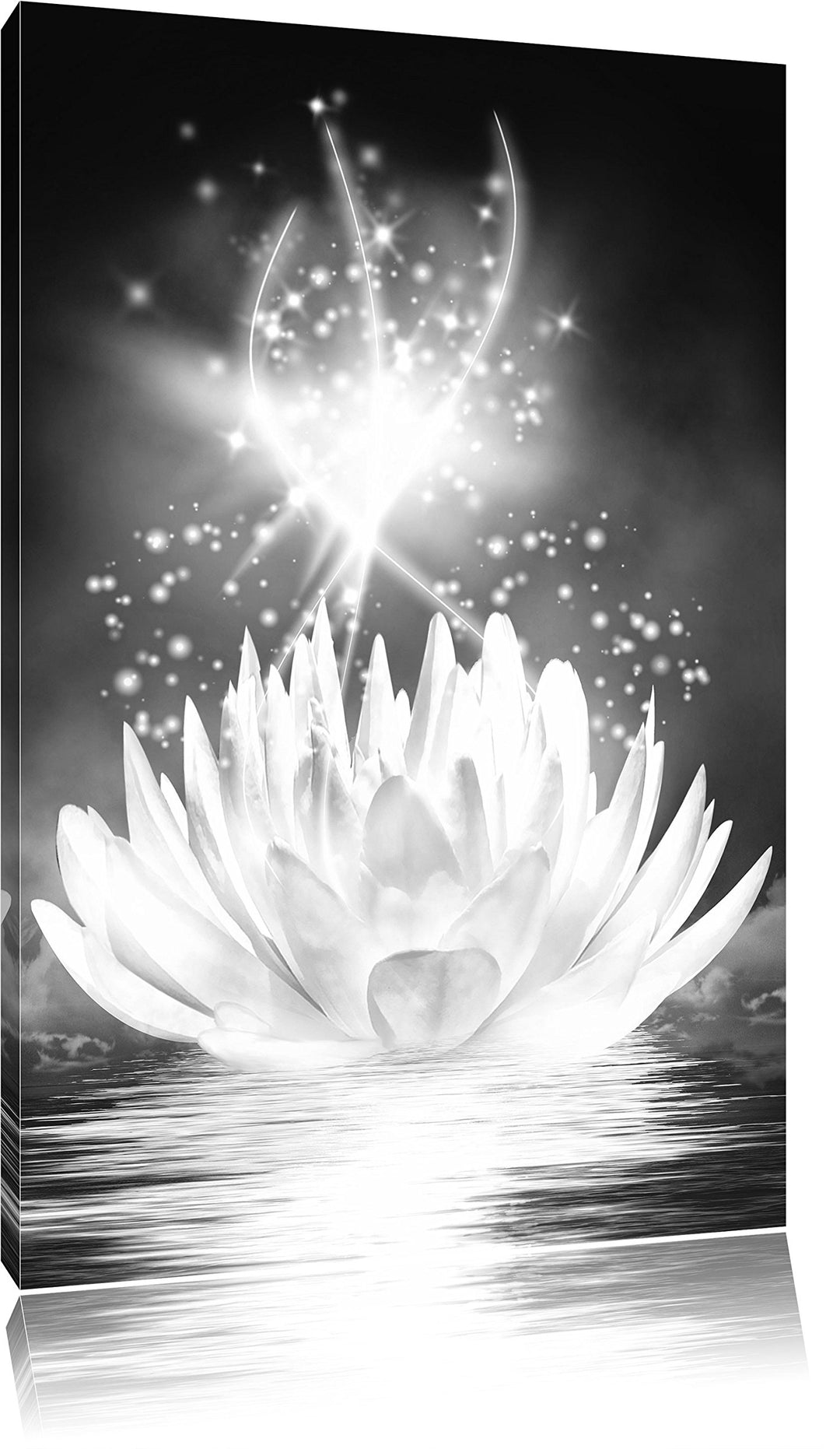 Pixxprint abstrakte Seerose Kunst B&W als Leinwandbild/Grösse: 100x70 cm/Wandbild/Kunstdruck/fertig