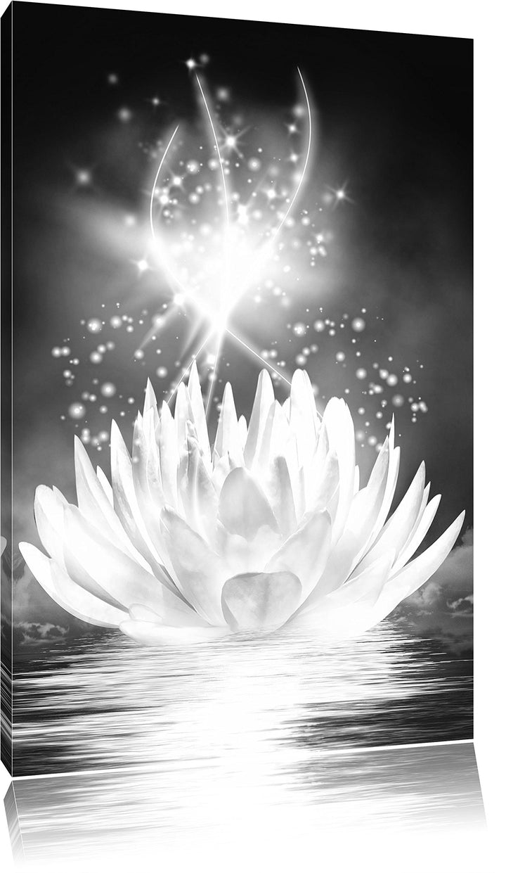 Pixxprint abstrakte Seerose Kunst B&W als Leinwandbild/Grösse: 100x70 cm/Wandbild/Kunstdruck/fertig