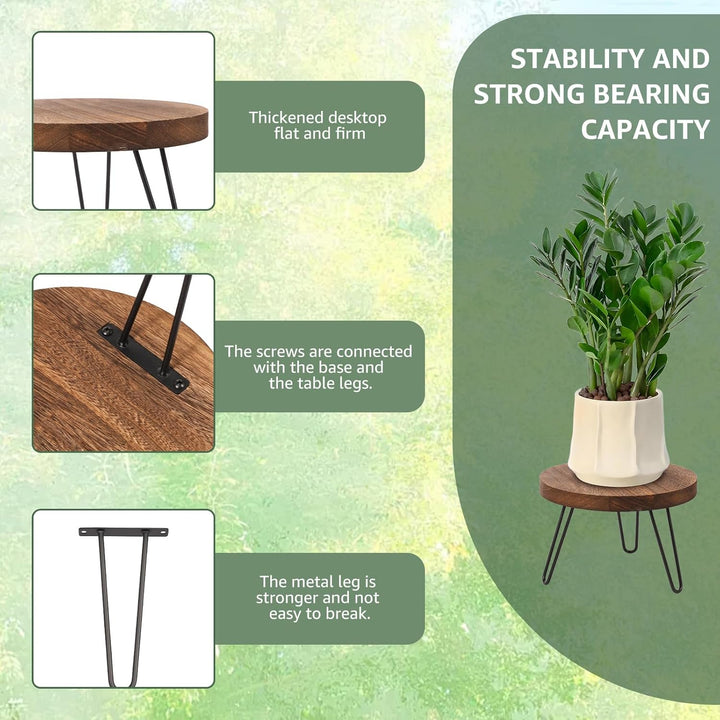 Pflanzenhocker Holz Modern 25cm Plantings Halter Kit Stall Robuste Mitte des Jahrhunderts Pflanzunge