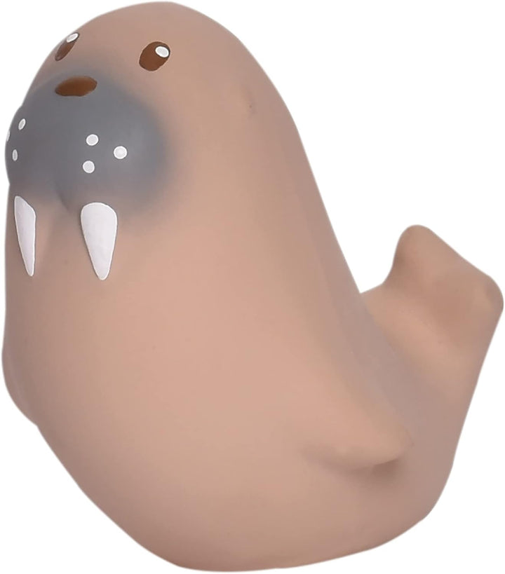 Tikiri 8594305 - Naturkautschuk Rassel in Geschenkbox, Seelöwe, Badespielzeug, für Babys und Kinder