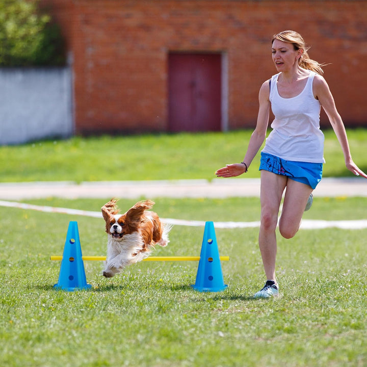 Relaxdays Steckhürdenset, 18 teilig, Hunde Agility & Fussballtraining, 12 Pylonen, 6 Stangen, Hinder